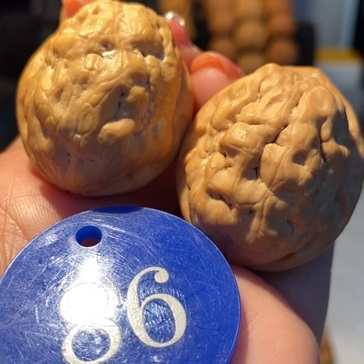 6号链接赤脚飞蟾32尺寸