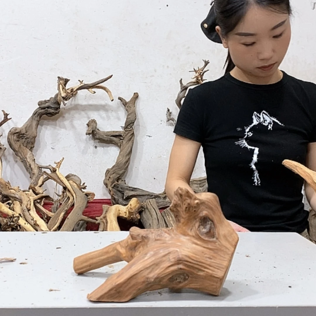 【闪购商品】柏木老***柏我们都是好孩子啊