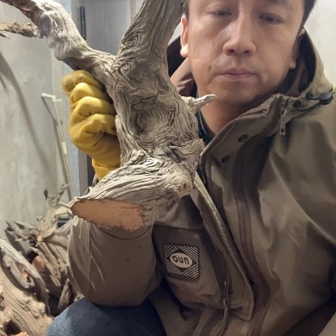 柏木旺**行崖柏毛料的