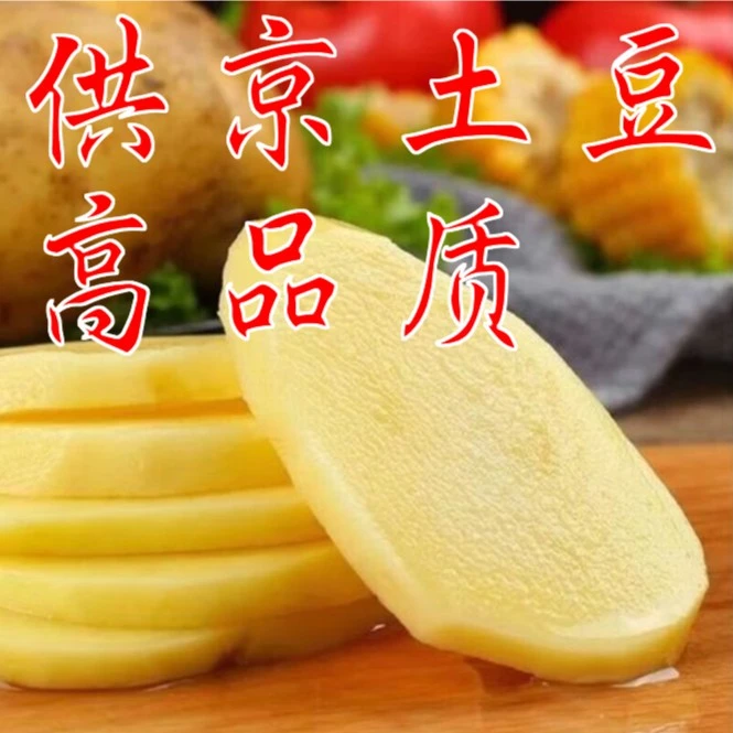 新鲜现挖正宗黄心土豆沙面黄皮小土豆洋芋农家菜新鲜蔬菜直播