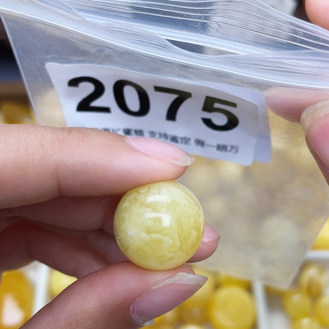 蜜蜡未镶嵌珠宝奇石16.5植物