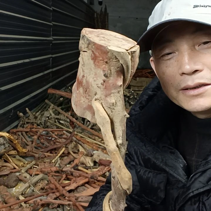 稳定木?****?贵州檬子木   铁马鞭   根艺  半成品