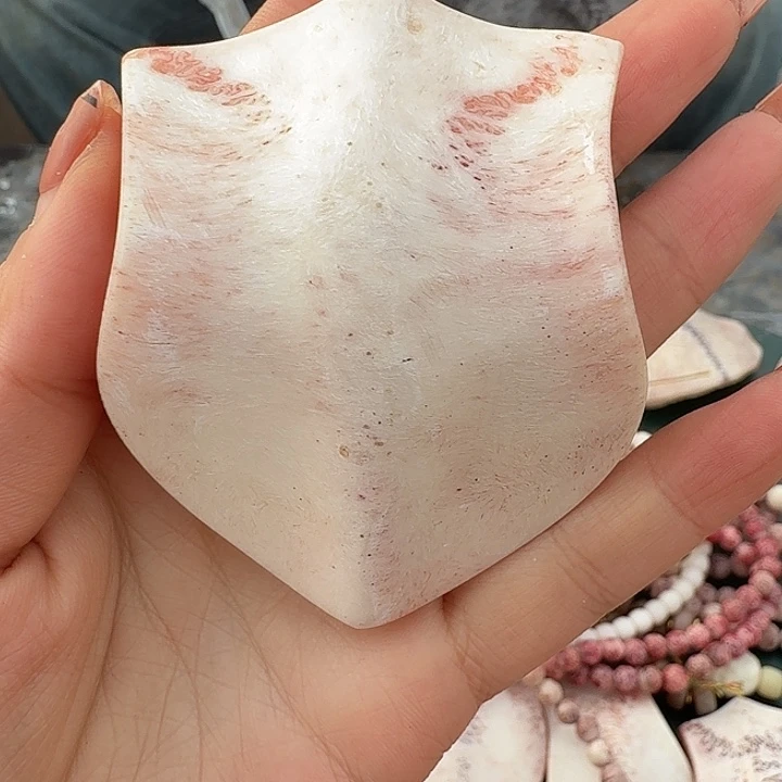用***4养殖鹿骨三界牌子大白