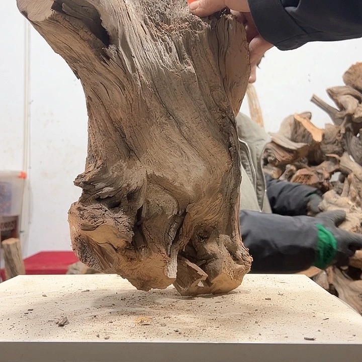 柏木觉*我们的生活也