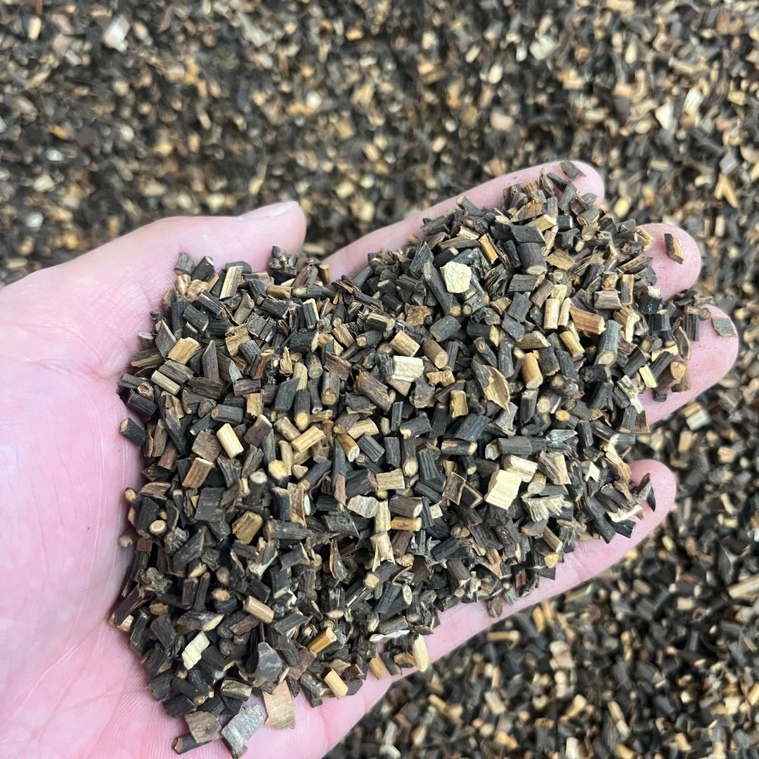 桂枝尖 优选广西桂枝尖嫩枝无熏硫煮茶泡水