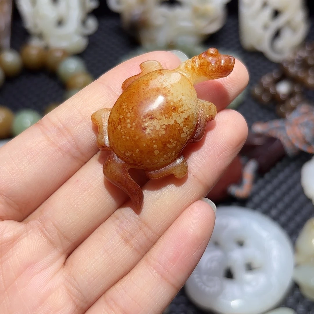 缸一物一图 所见所得