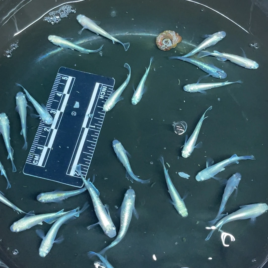 海星1-14号哈哈哈哈哈哈