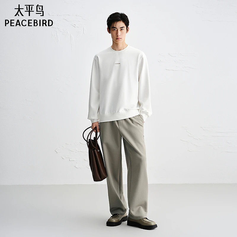 【商场同款】太平鸟男装25新款洋气痞帅高级感宽松休闲裤B1GMF3439