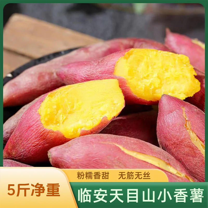 正宗临安天目山小香薯板栗红薯黄心软糯香甜纯正番薯地瓜山芋蜜薯