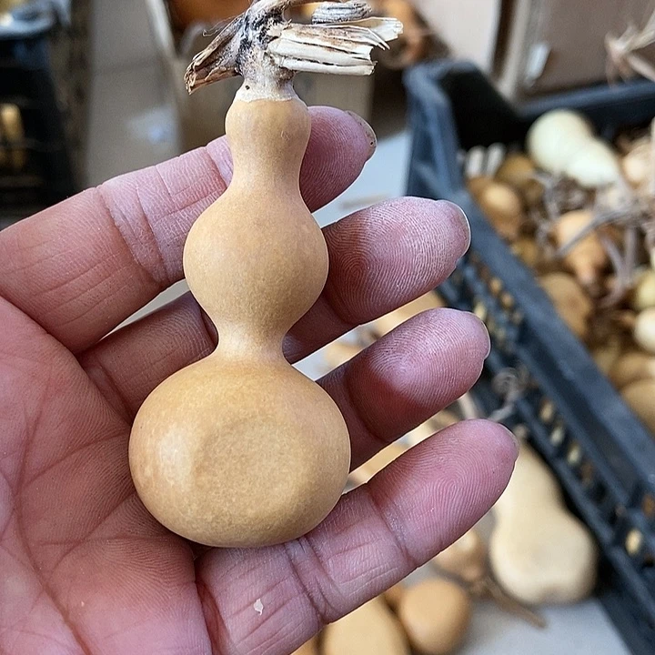 水**盒s j dk d j b s j d k