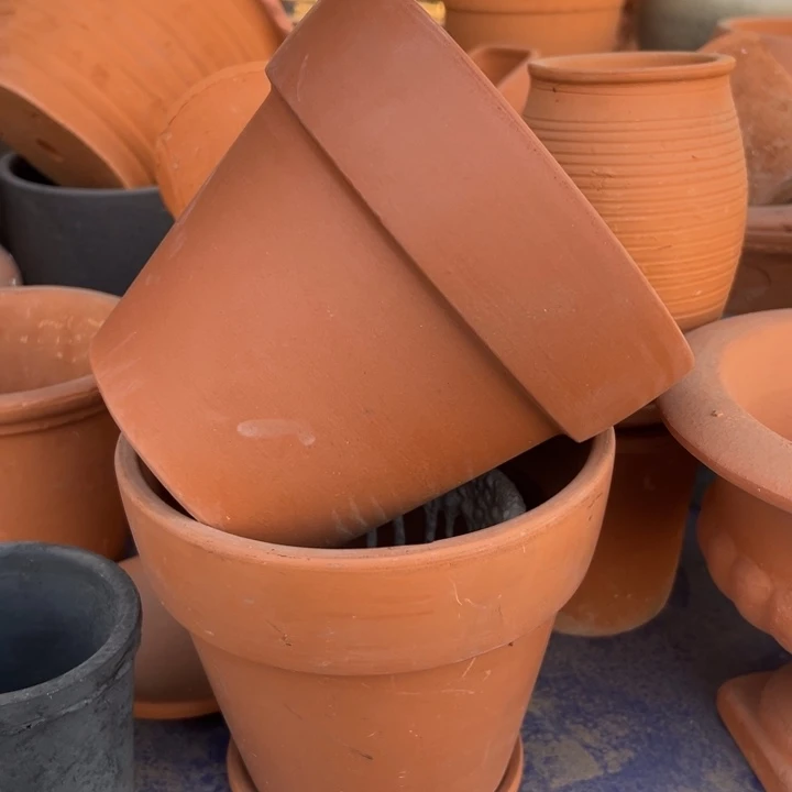 红陶20×17 拍一发二