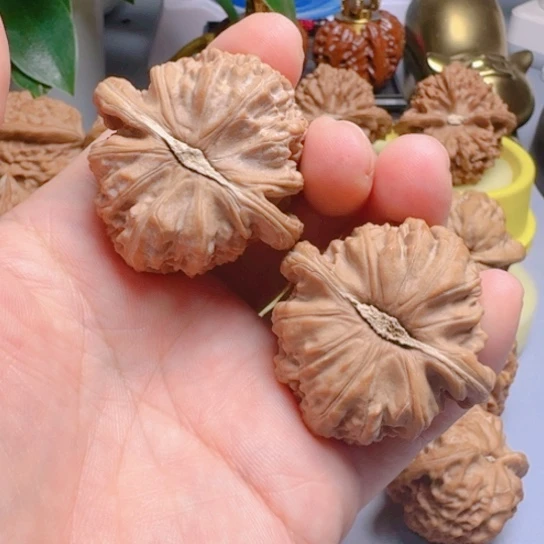42尺白狮子文玩核桃