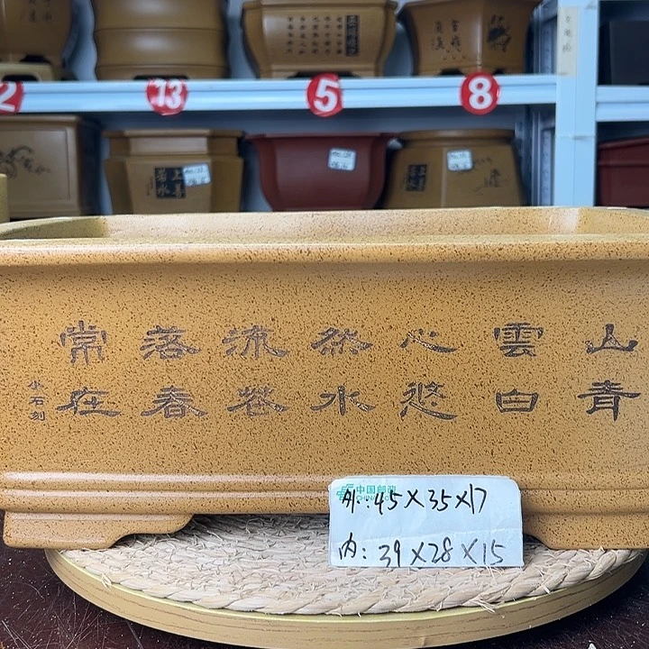 紫砂花盆蛇年大吉
