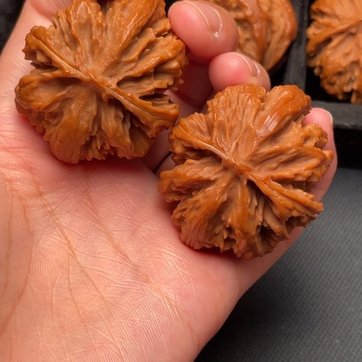 菩提籽类秦岭野生核桃文玩