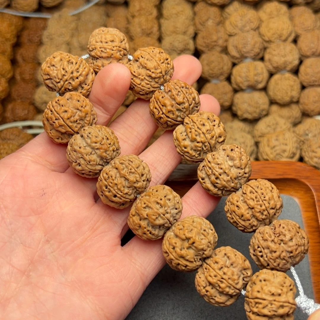 菩提29号尼泊尔大金刚21.5原生态梅花