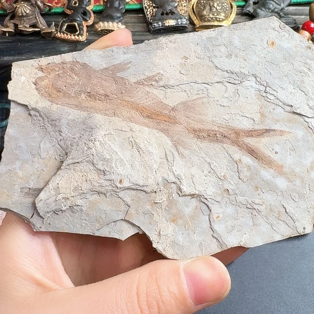 铜的好看的好看的好看的