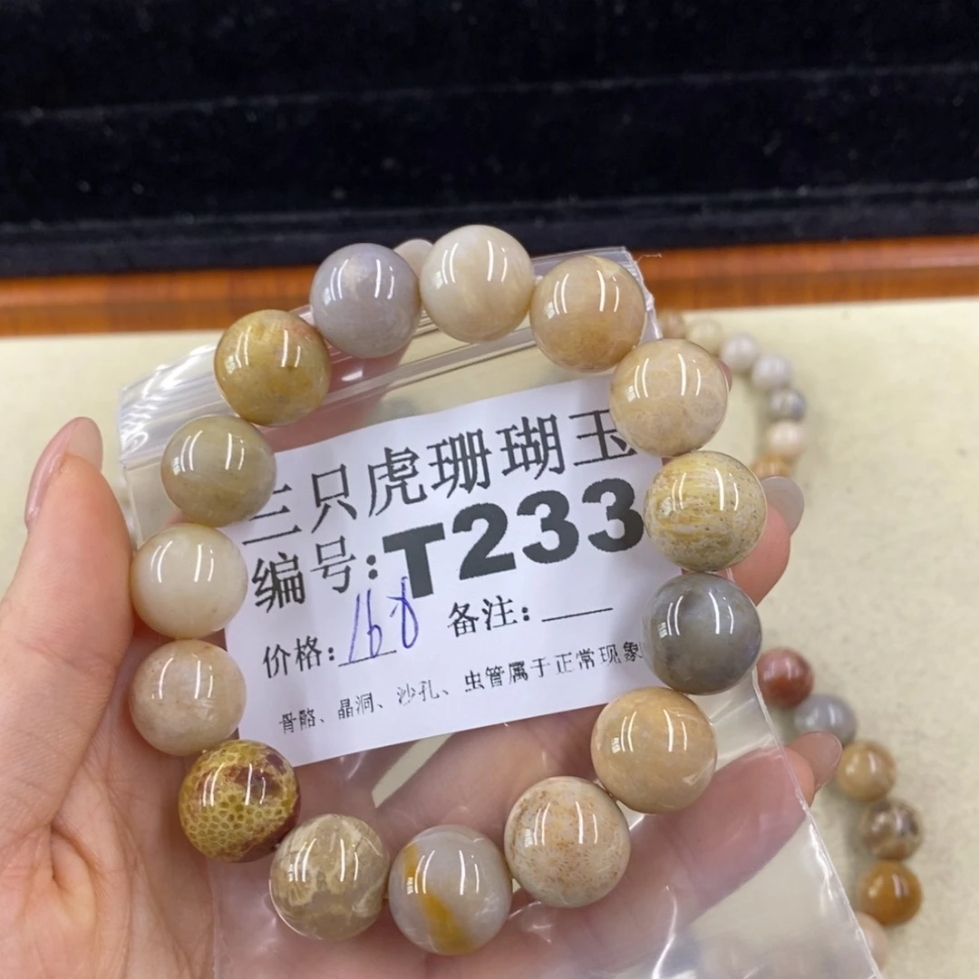 硅化珊瑚（珊瑚玉）1未镶嵌风****