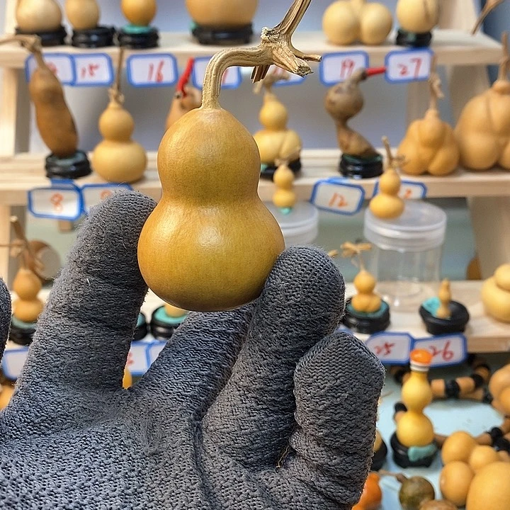 乐**大直播间手把小葫芦