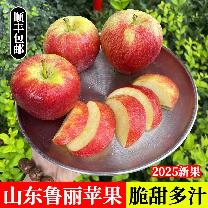 山东鲁丽苹果水果新鲜当季整箱正宗脆甜多汁生鲜批发孕妇小苹果