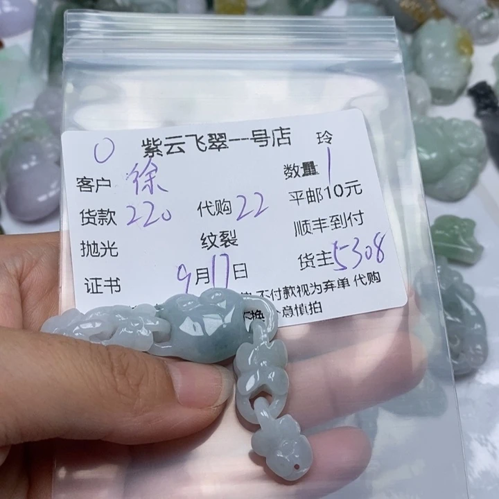 徐***媛颈饰未镶嵌翡翠翡翠