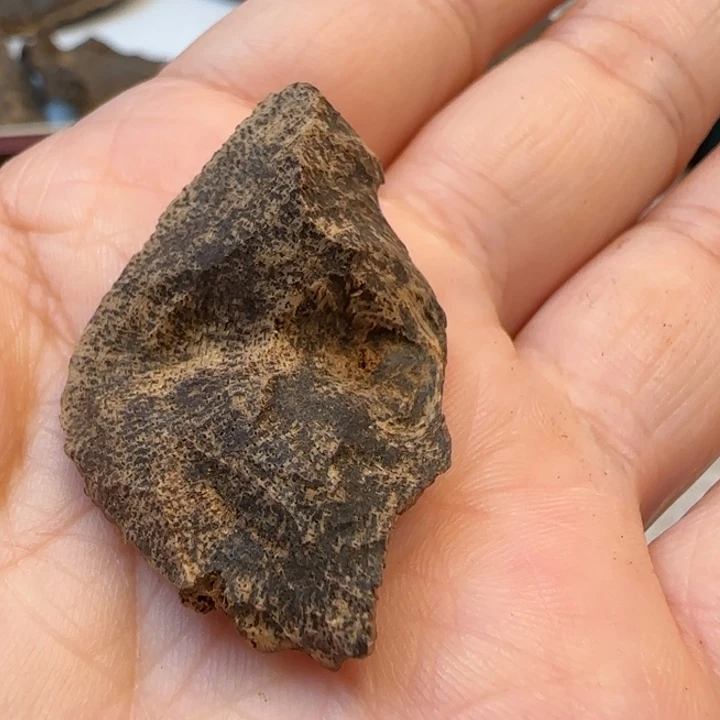 摆件沉香老香港包头1.5克