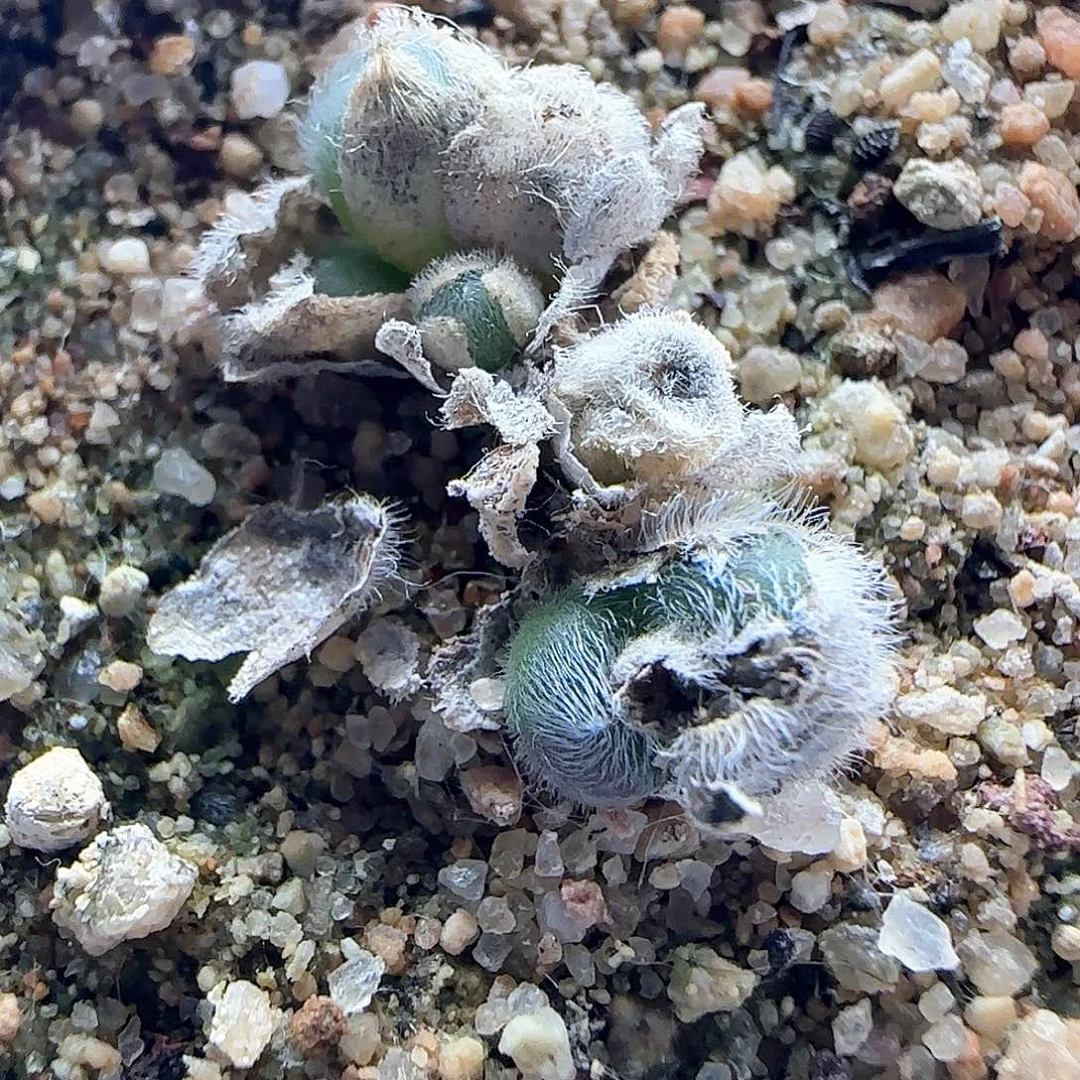 少***s哈哈哈哈哈哈哈哈哈哈43177