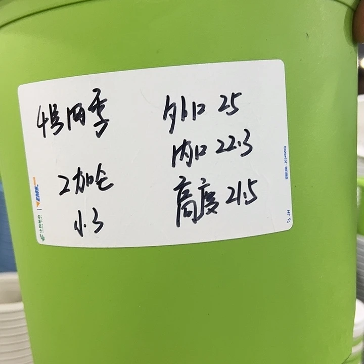 特价4号四季口25高21果绿色8个带托