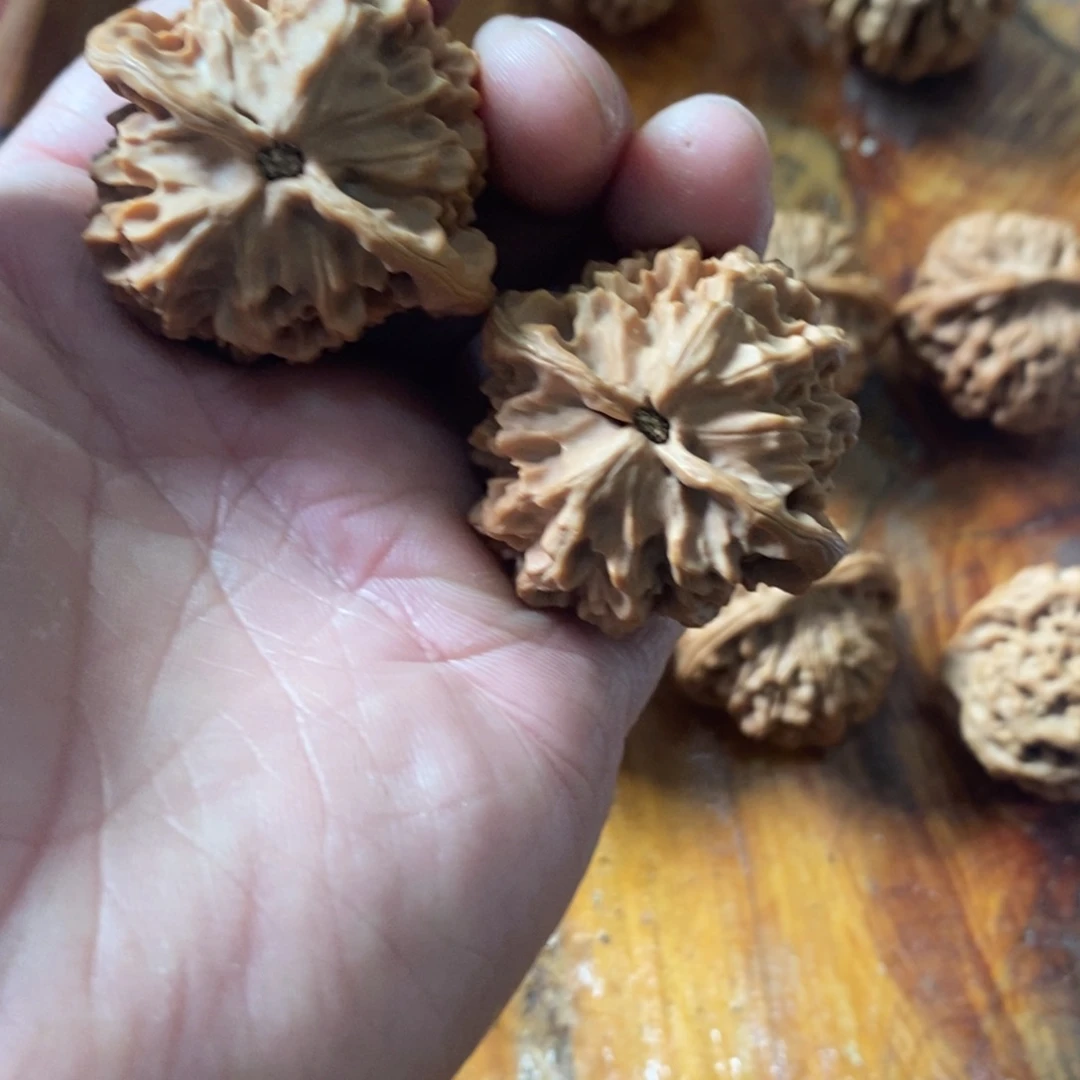 秦岭森林茂密茂盛成