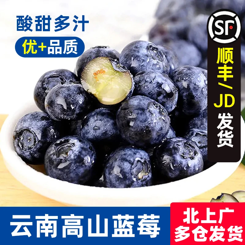 【本来果坊】云南当季蓝莓4盒/7盒 单盒125g 新鲜采摘 粒粒饱满