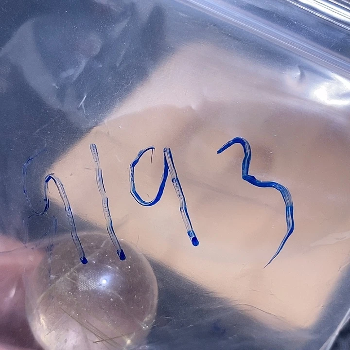 国***双未镶嵌手链发晶未镶嵌手链发晶