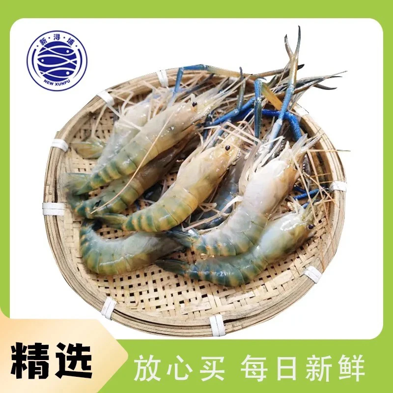 【活虾】鲜活大头虾/中罗氏虾/1000g±50g