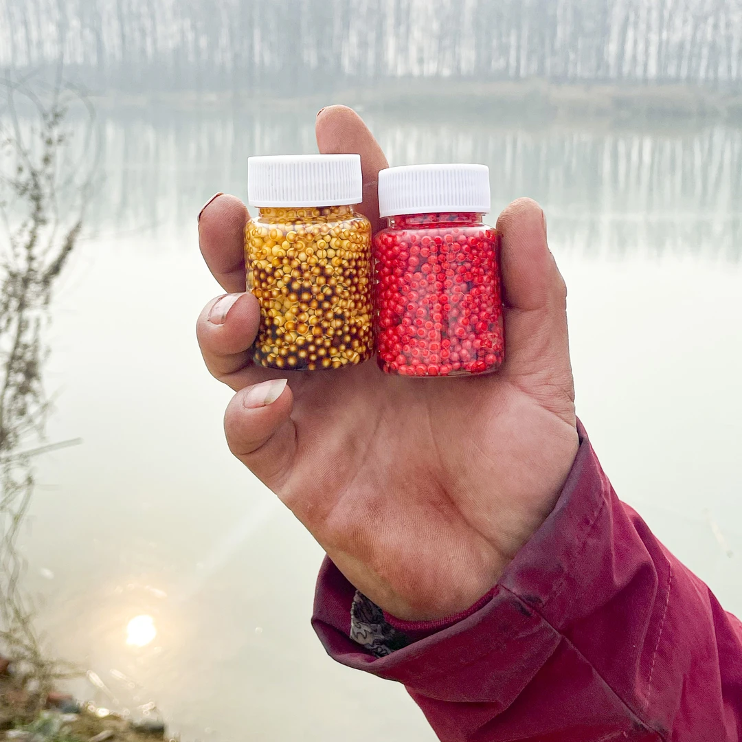 小震秘制窝料（泡沫饵）