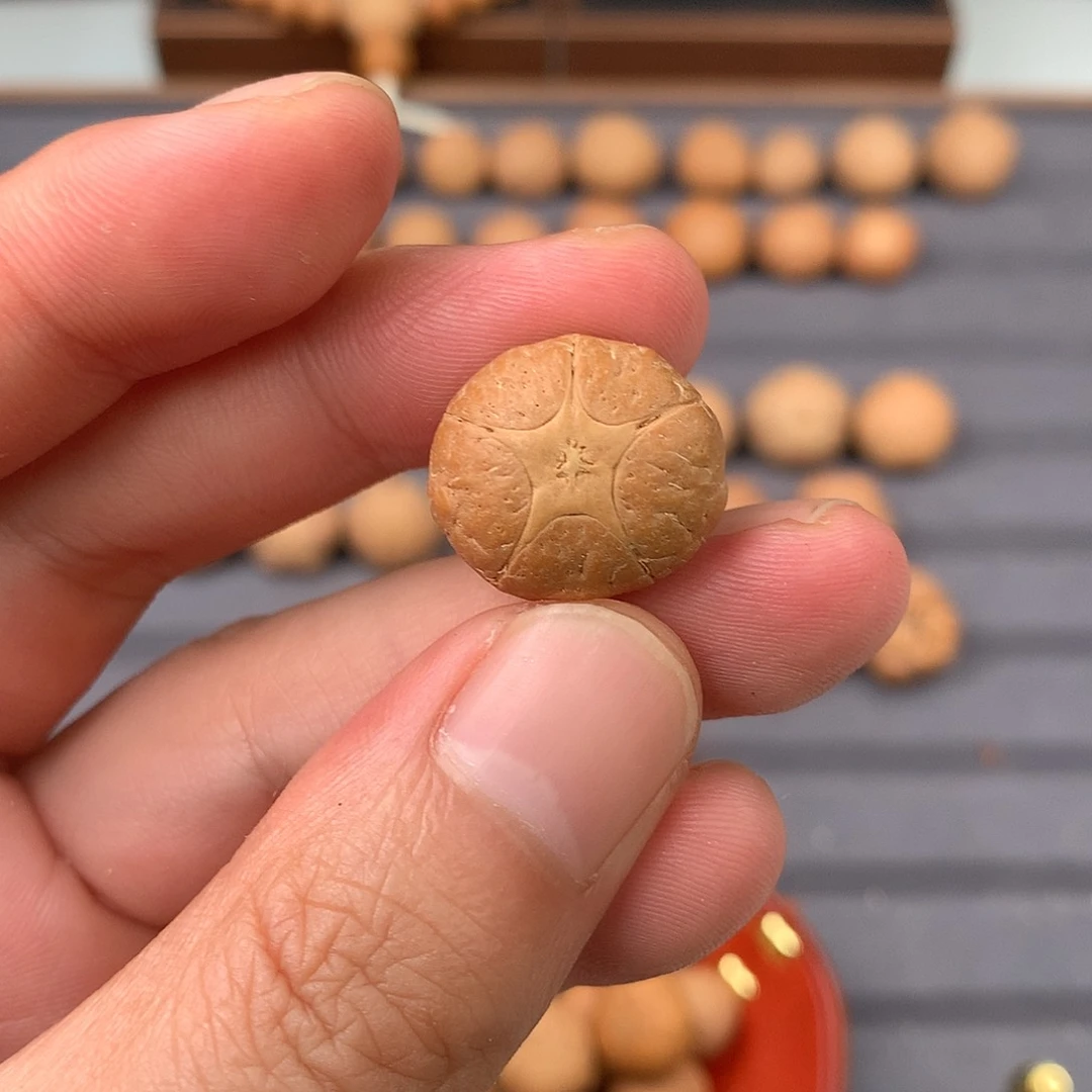 手串凤眼菩提19+五星，非质量问题开孔不退