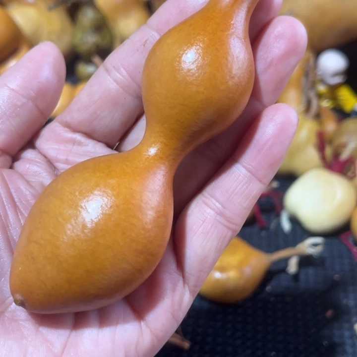 小***袅葫芦葫哈哈哈哈哈哈