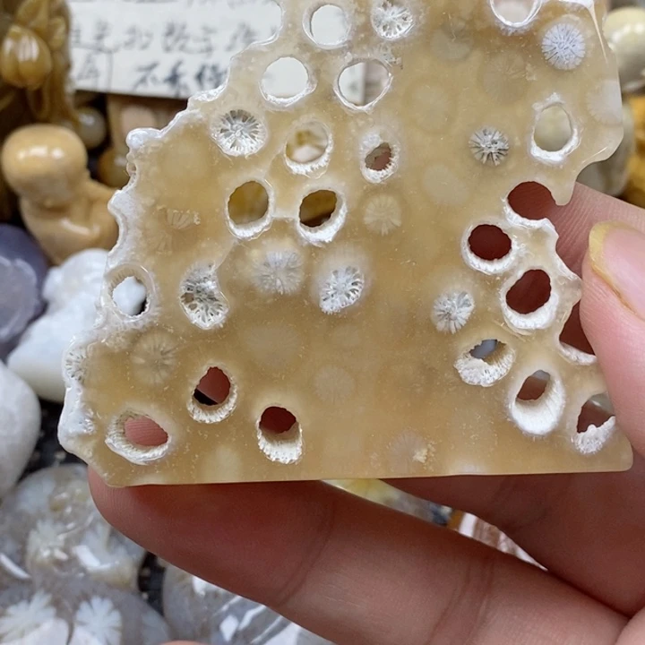 颈饰未镶嵌硅化珊瑚（珊瑚玉）
