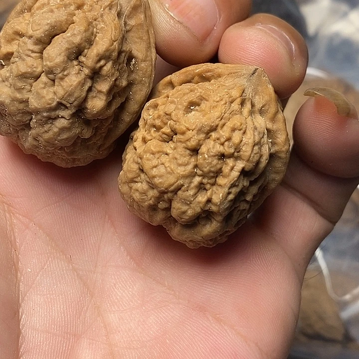 把件文玩核桃云南铁核桃8号37mm