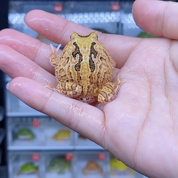 特价秒杀现货特价