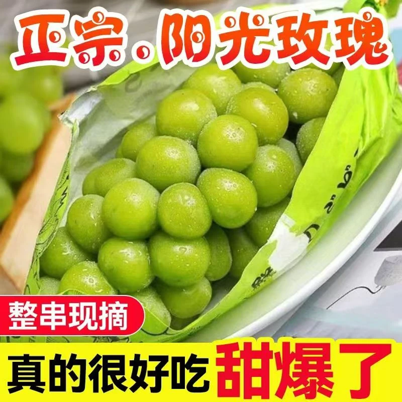 【顺丰彩箱】陕西阳光玫瑰新鲜晴王青提当季新鲜提子2-5斤