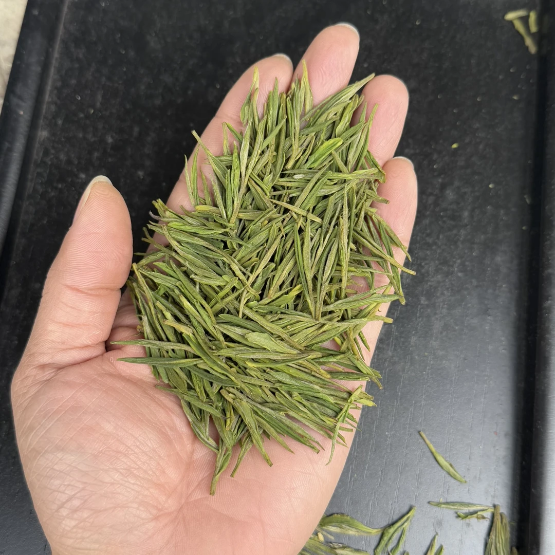 【安吉石角白茶】2025明前高山核心产区兰花香125克罐装