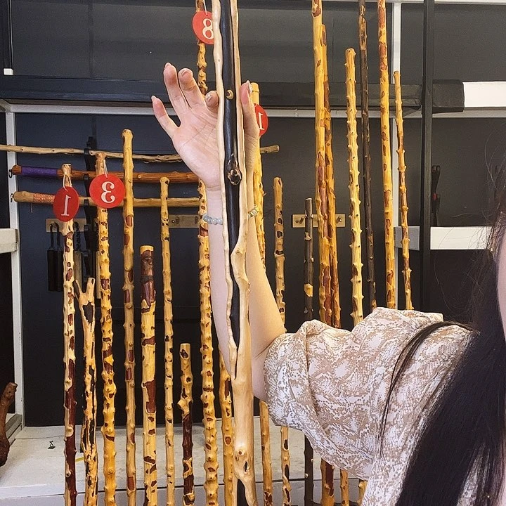 真*假好好好好好好好好