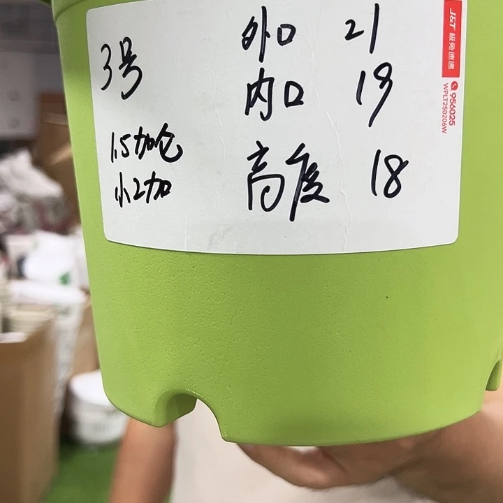 特价3号四季口21高18混色10个无托