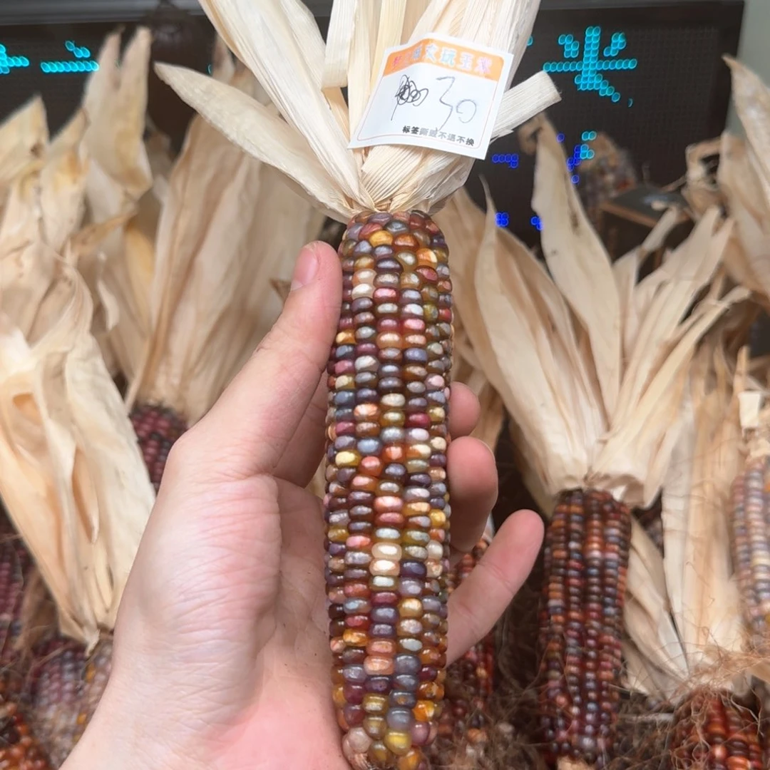 柏香籽/百香籽吊坠六****