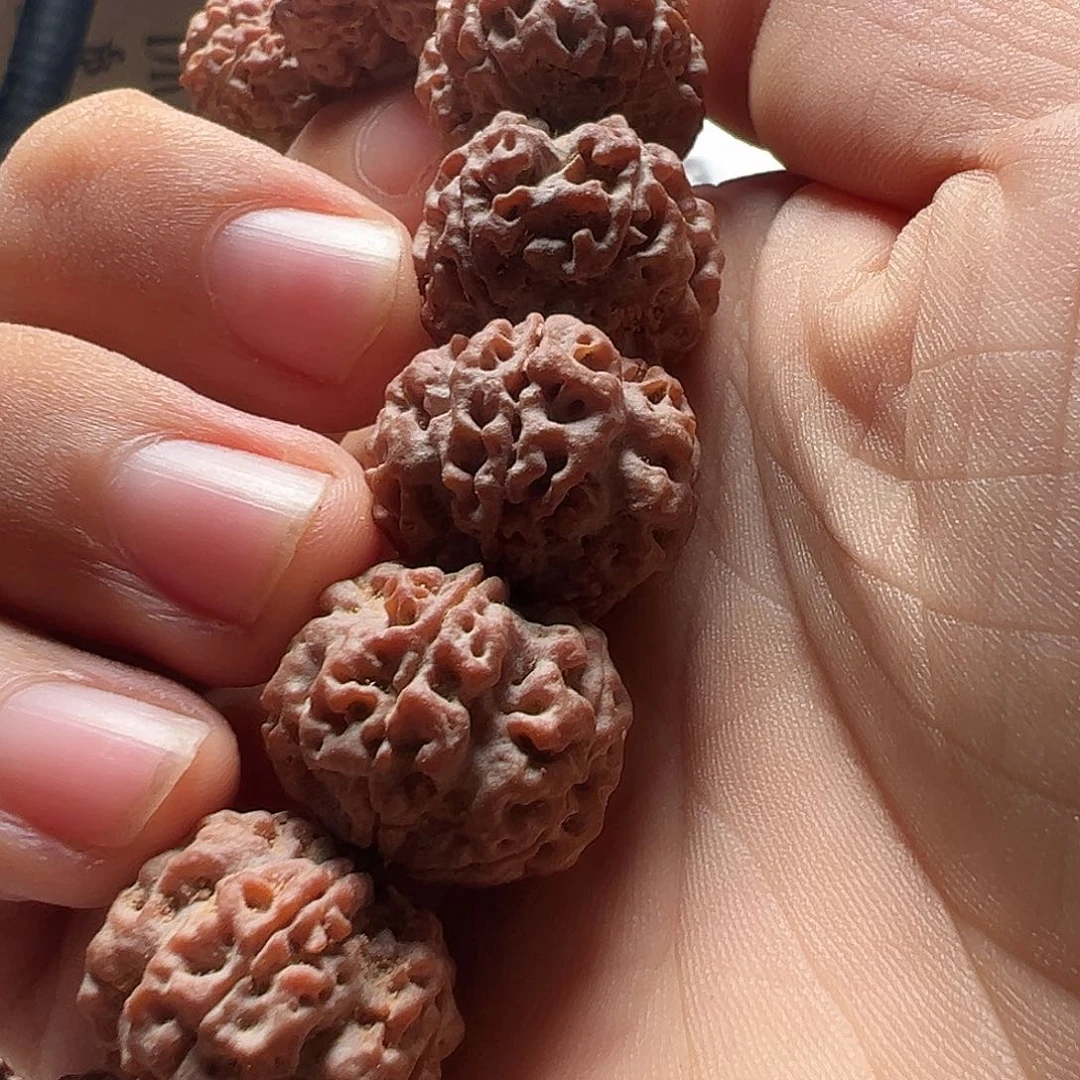 白***驹吊坠金刚菩提金刚菩提手串