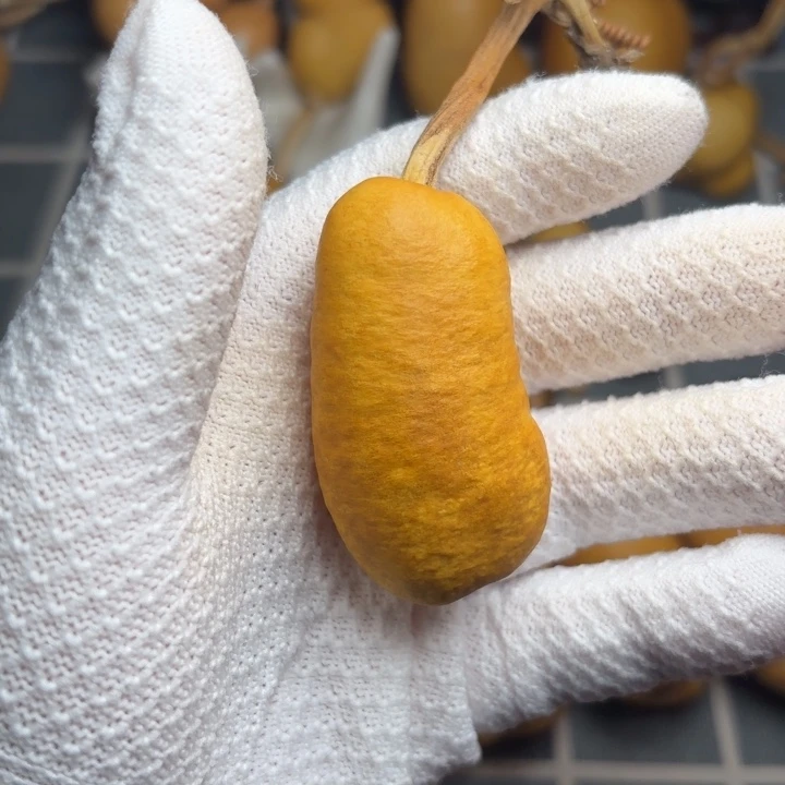 远***）66666666666666666