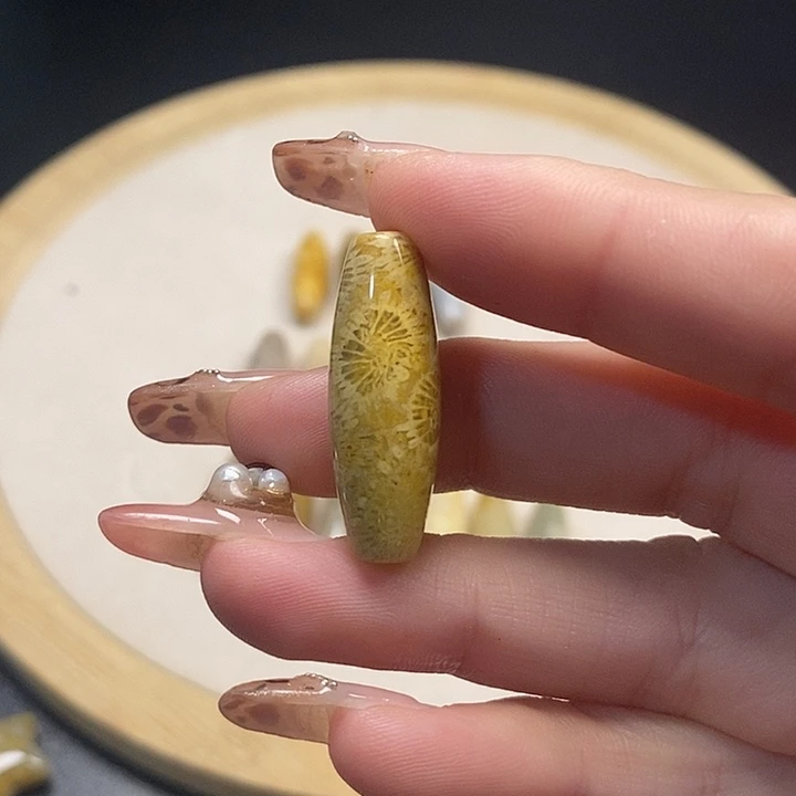 硅化珊瑚（珊瑚玉）未镶嵌颈饰