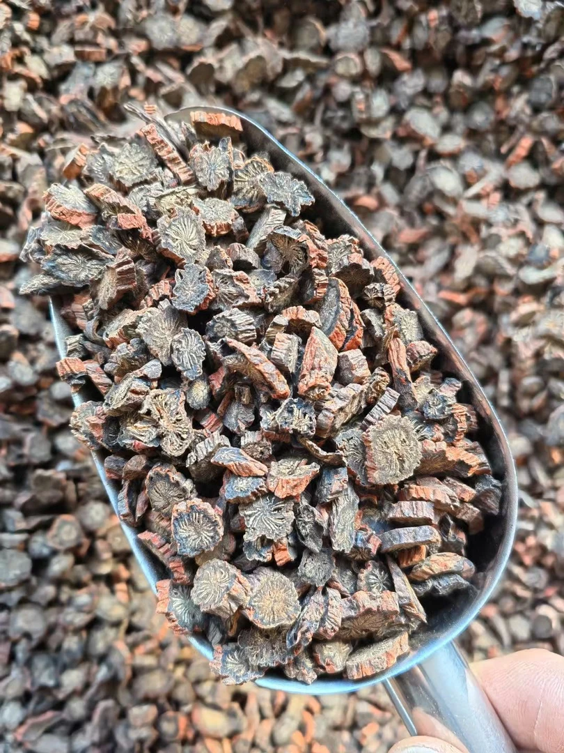 长白山丹参片 纹理清晰 茶汤金黄