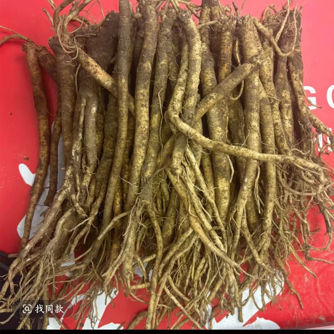 中条 云南白条煲汤党参新鲜整根整条鲜活现挖现发
