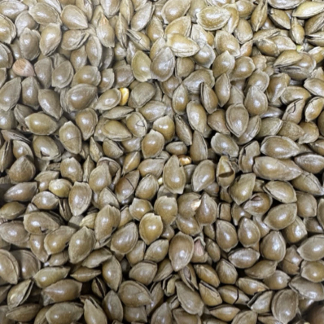 黄金豆薄皮小杏核淡淡的奶香500克杂粮