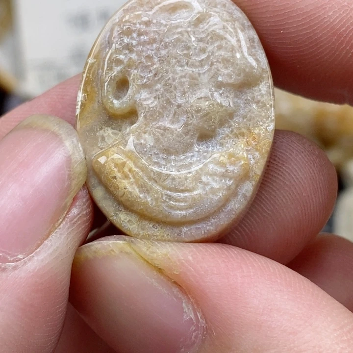 颈饰未镶嵌硅化珊瑚（珊瑚玉）小