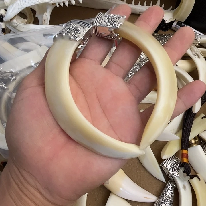 猪牙手串/手链猪牙獠牙